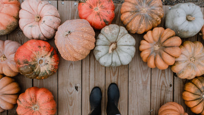 Ingredient Spotlight on Pumpkin