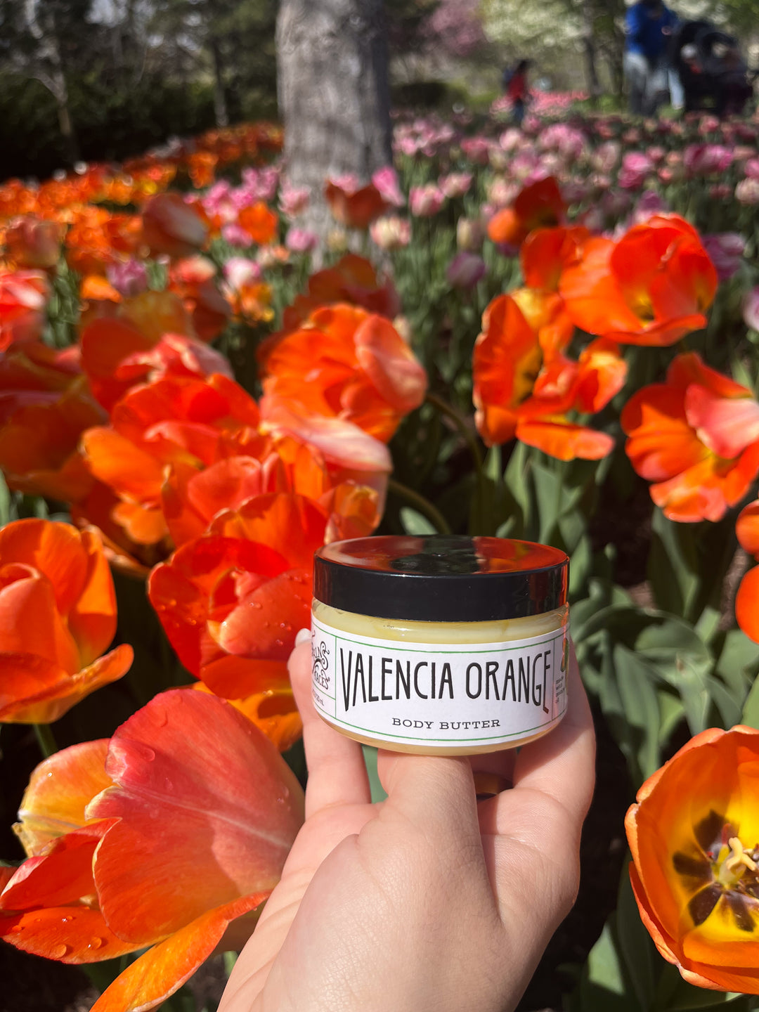 Valencia Orange Body Butter