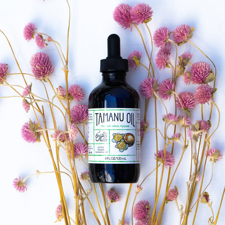 tamanu oil from erin's faces surrounded by pink dried flowers